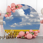 Sonnenblumen Und Blau Himmel Weiß Wolke Geburtstag Hintergrund